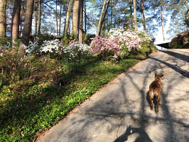 796 Wesley Dr NW in Atlanta, GA - Building Photo - Building Photo