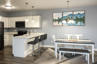 14497 S Ronan Ln in Herriman, UT - Building Photo - Building Photo
