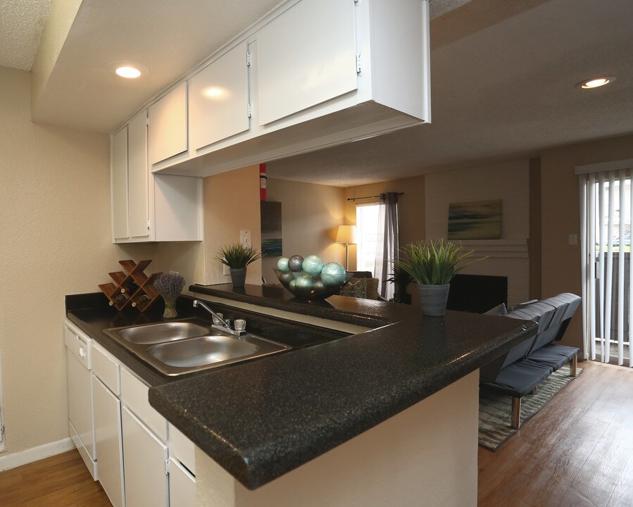 Houston Hills Photo