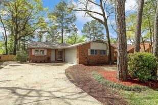 74 Maple Branch St in Spring, TX - Building Photo