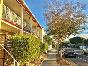 2300 Oak St in Santa Monica, CA - Building Photo - Building Photo