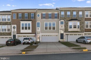 16567 Bramblewood Ln in Woodbridge, VA - Building Photo