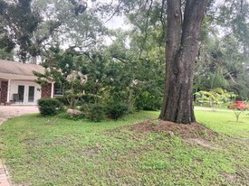 12137 Riverhills Dr in Tampa, FL - Building Photo