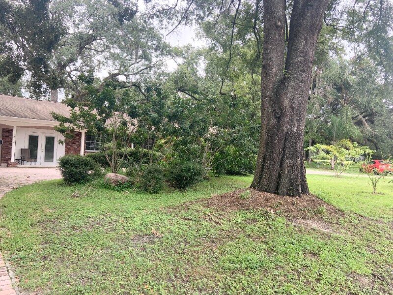 12137 Riverhills Dr in Tampa, FL - Building Photo