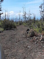 92-8985-9212 Tiki Ln in Ocean View, HI - Building Photo