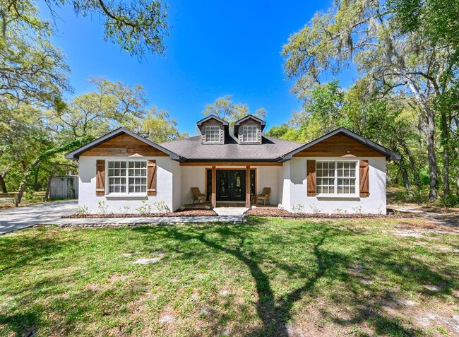 17351 Maggie Ct in Spring Hill, FL - Building Photo - Building Photo