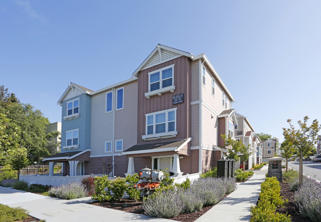 Promenade in San Mateo, CA - Foto de edificio