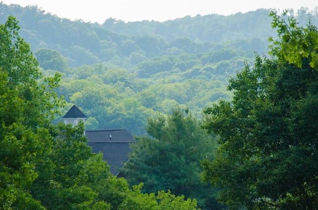 Casas Alquiler en Sunnyside, TN