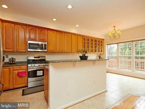 13591 Cedar Run Ln in Herndon, VA - Building Photo - Building Photo