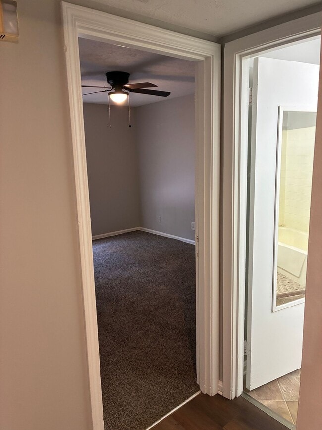 Minor Lane in Louisville, KY - Building Photo - Building Photo