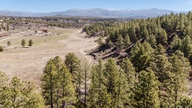 337A Brookhill Dr in Pagosa Springs, CO - Building Photo - Building Photo