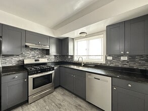 1314 Carol St in Park Ridge, IL - Building Photo - Building Photo