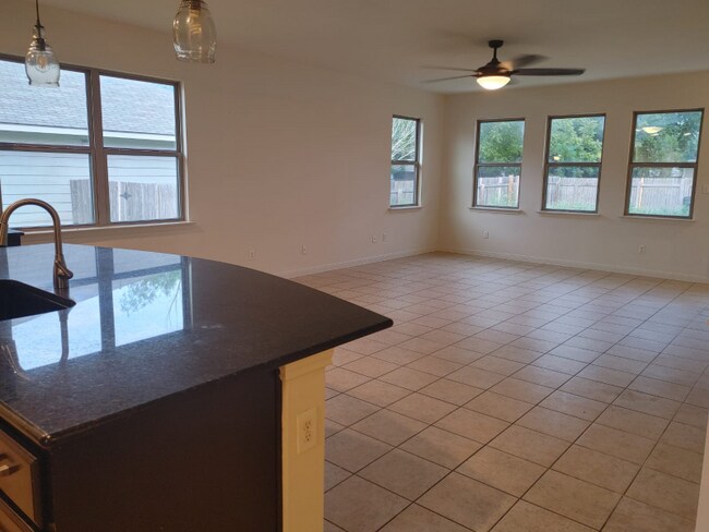 1097 Violet Ln in Kyle, TX - Building Photo - Building Photo