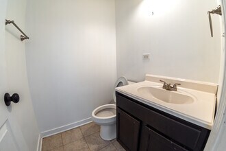 317 S Homan Ave in Chicago, IL - Building Photo - Building Photo