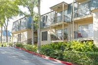 Tree Tops at Post Oak photo'