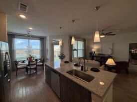 702 Celebration Wy in San Marcos, TX - Building Photo