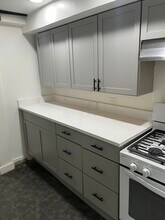 1922 S Springfield Ave in Chicago, IL - Building Photo - Building Photo