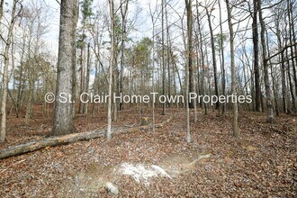 480 Rockridge Rd in Pell City, AL - Building Photo - Building Photo