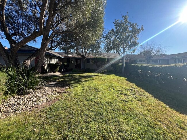 6484 Camelia Dr in San Jose, CA - Building Photo - Building Photo