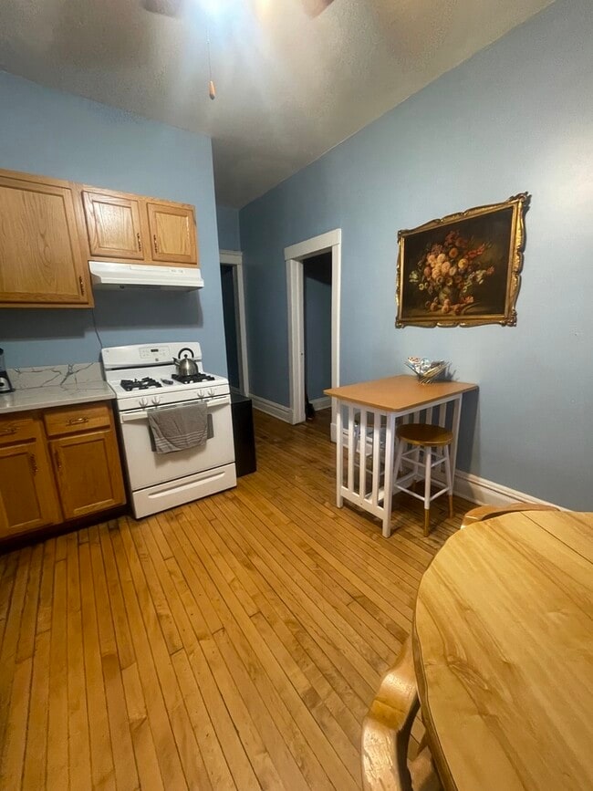2107 W Coulter St in Chicago, IL - Building Photo - Building Photo
