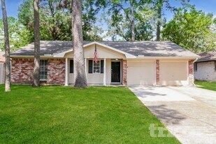 23115 Earlmist Dr in Spring, TX - Building Photo