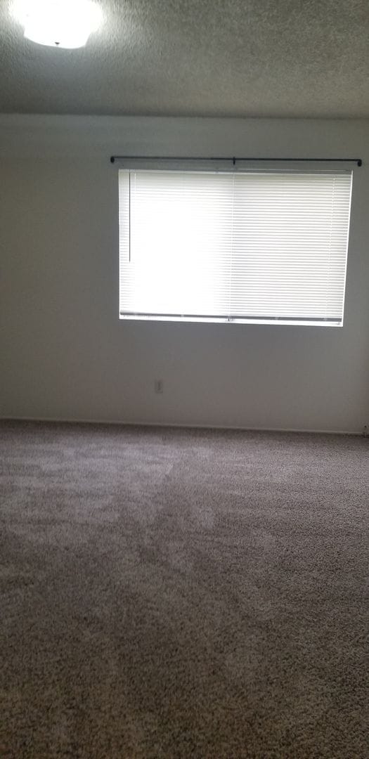 7116 Ming Ave in Bakersfield, CA - Building Photo - Building Photo