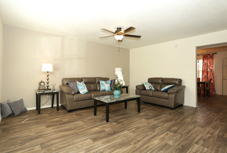 Vineyard Hill Apartments in Griffin, GA - Building Photo - Interior Photo