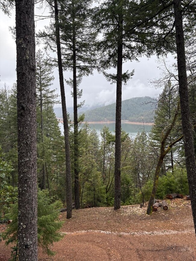 property at 480 Rattlesnake Wy
