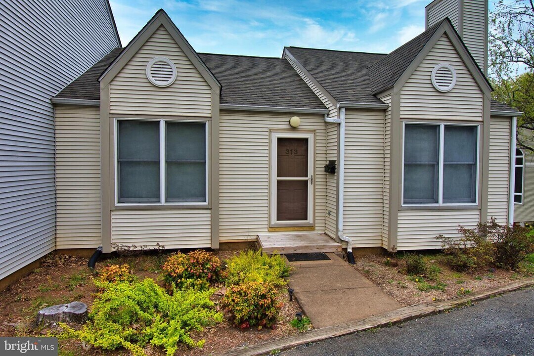 313 Harper Dr in Orange, VA - Building Photo