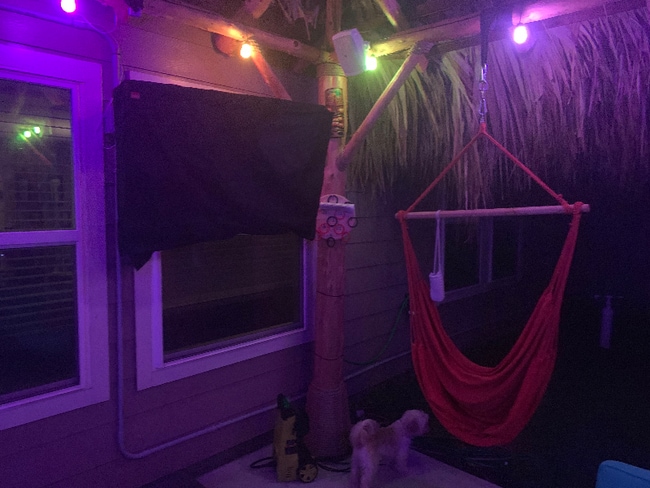 1 Quarterhorse Dr in Alvin, TX - Building Photo - Building Photo