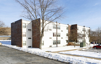 Scottswood Apartments in Aliquippa, PA - Building Photo - Building Photo