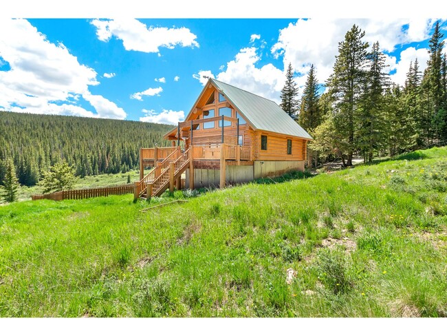 1204 Zebulon St in Fairplay, CO - Building Photo - Building Photo