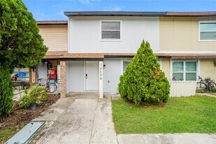 14206 Village Terrace Dr in Tampa, FL - Building Photo