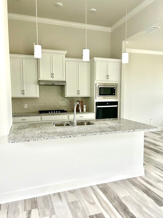 203 W Mickey Mantle Path in Hernando, FL - Building Photo - Building Photo