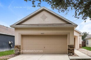 7629 Clovelly Park Pl in Apollo Beach, FL - Building Photo