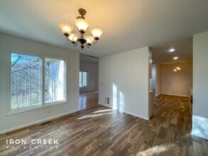 305 Secretariat Ln in Fairview, NC - Building Photo - Building Photo