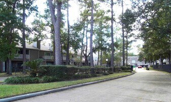 14911 Wunderlich Dr in Houston, TX - Building Photo