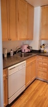 21 W Goethe St in Chicago, IL - Building Photo - Building Photo