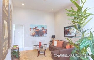 1000 Memorial Dr in Cambridge, MA - Building Photo
