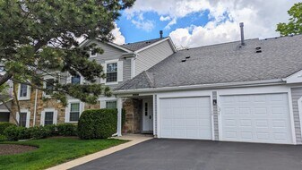 1127 Auburn Ln in Buffalo Grove, IL - Building Photo