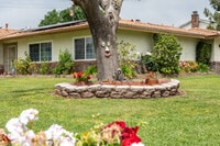 Apartamentos en Hale County, TX