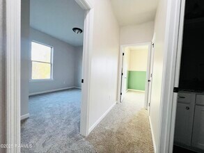 18044 Terraceside Dr in Prairieville, LA - Building Photo - Building Photo