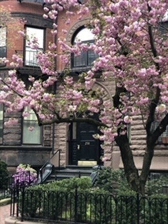 property at 258 Marlborough St
