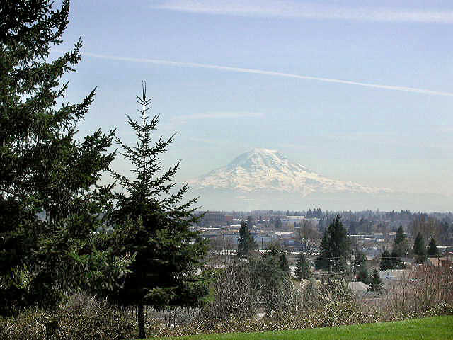 The Lodge at Madrona
