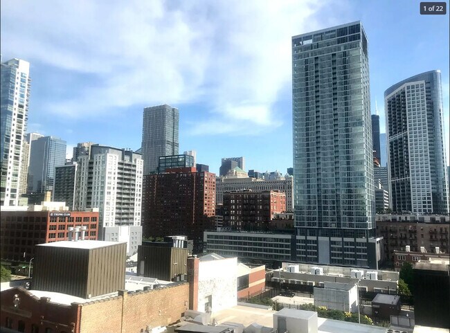 400 W Ontario St, Unit 906 in Chicago, IL - Building Photo - Building Photo