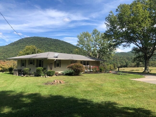 1111 Schoolhouse Gap Rd in Townsend, TN - Building Photo - Building Photo