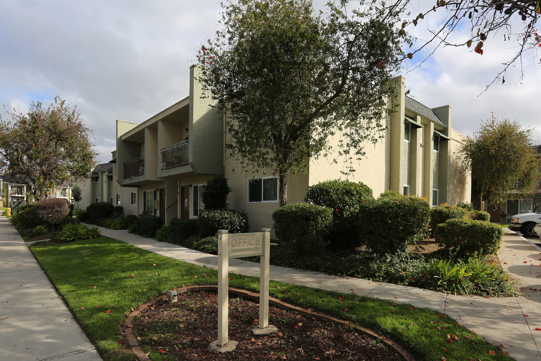 Maya Apartments in San Diego, CA - Foto de edificio