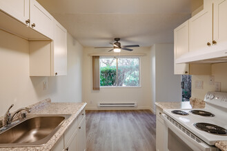 Olive Tree Apartments in Sunnyvale, CA - Building Photo - Building Photo