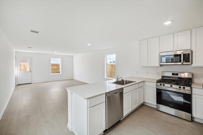 18246 Via Aurelia Dr in New Caney, TX - Building Photo - Building Photo