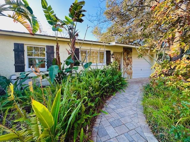 1004 7th St S in Safety Harbor, FL - Building Photo